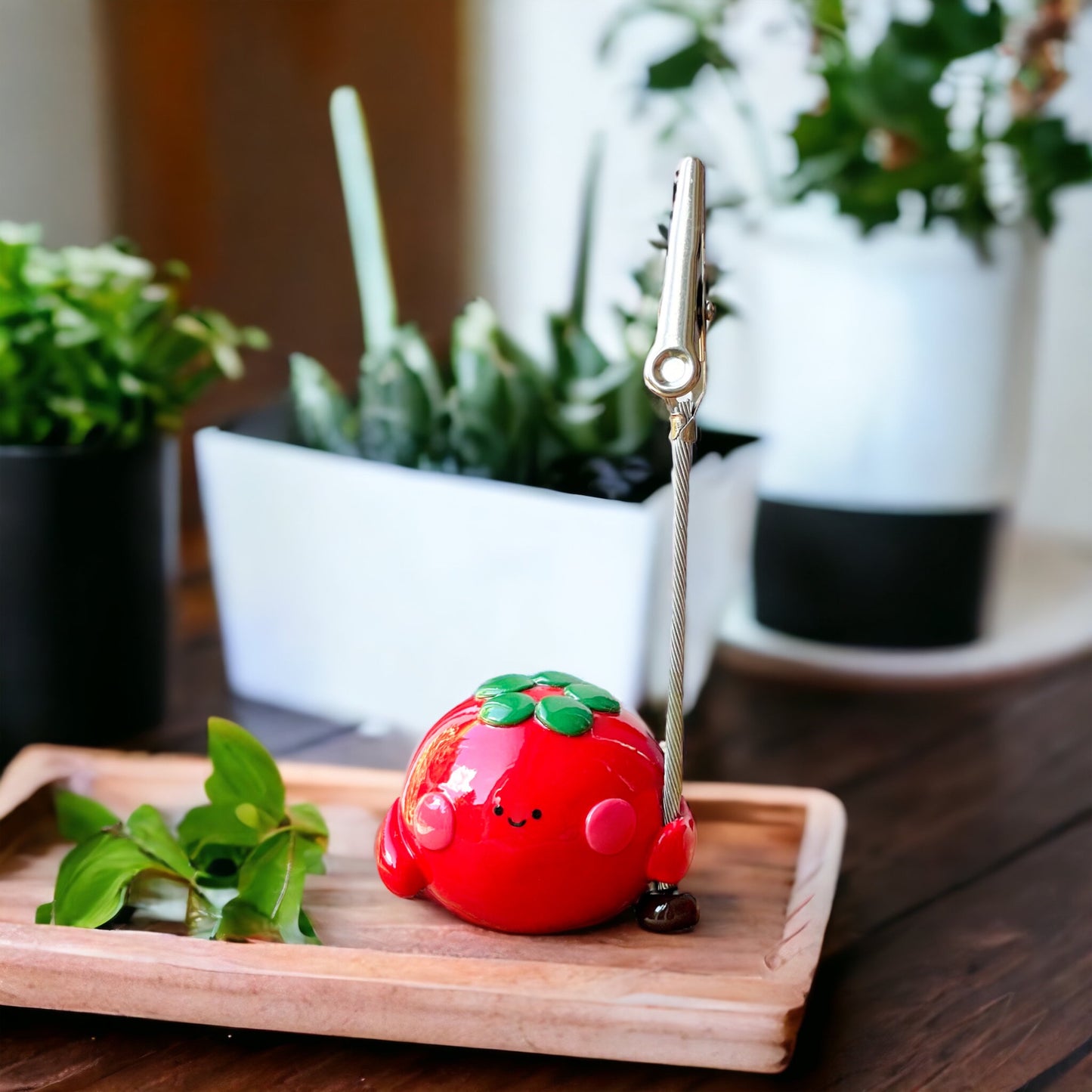 Tom the Tomato Memo Holder 🍅