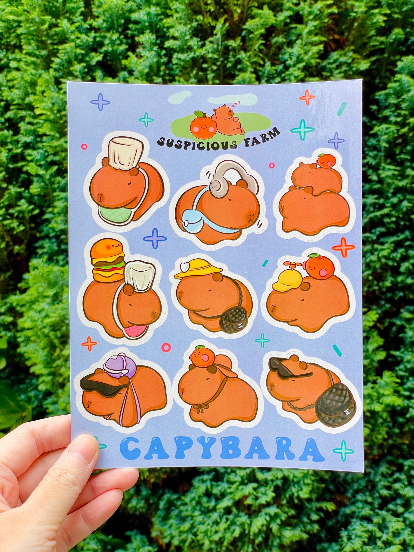 🌞 Capybara Stickers 🥹 9 PCS