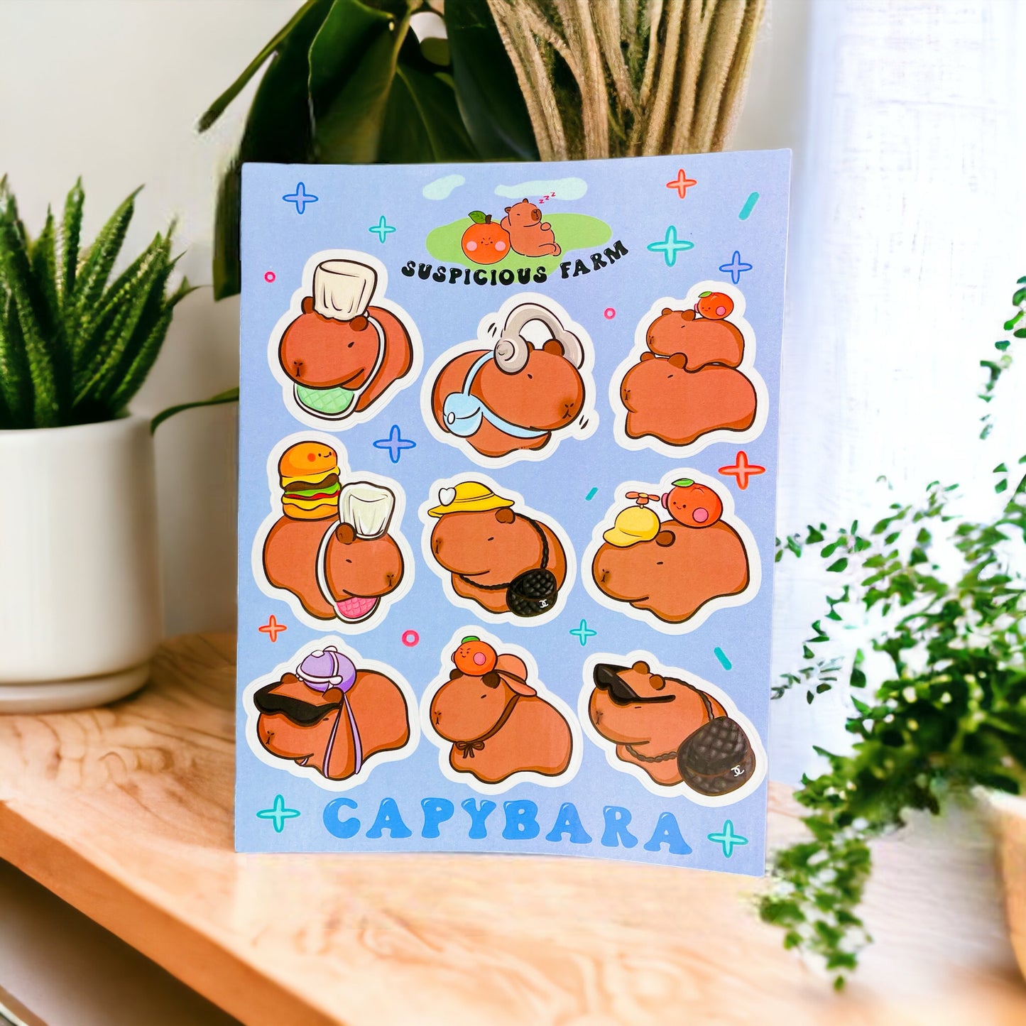 🌞 Capybara Stickers 🥹 9 PCS